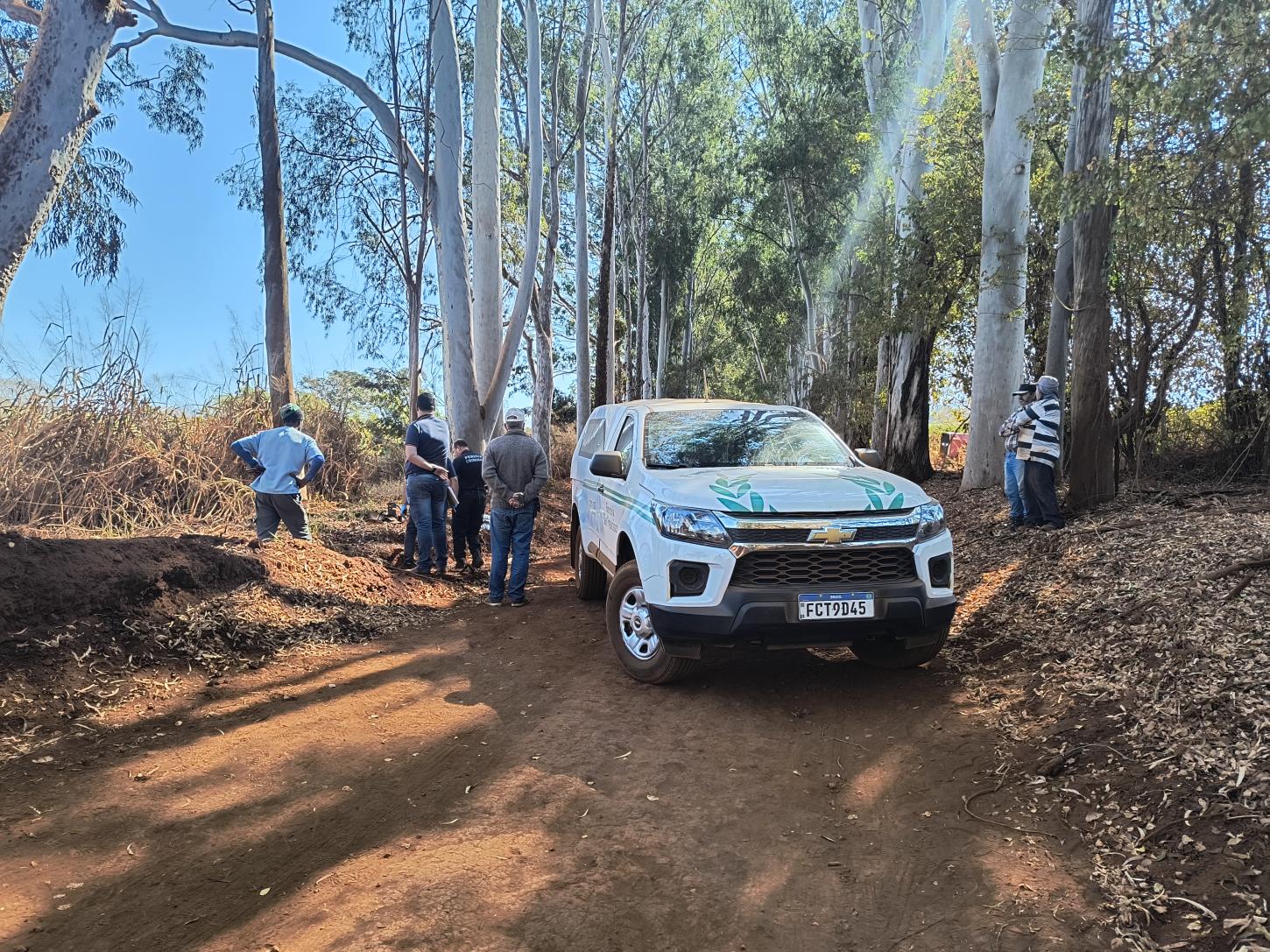 Trabalhador morre após ser atingido na cabeça por eucalipto em fazenda
