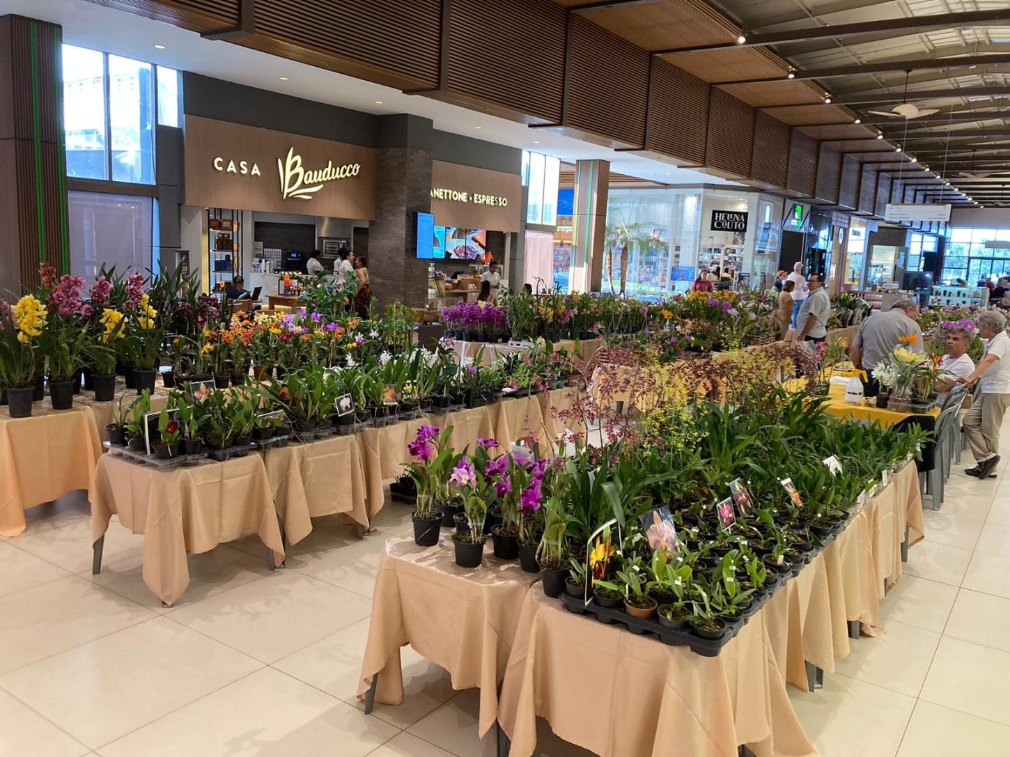 Feira de Orquídeas acontece no Franca Shopping até 15 de setembro