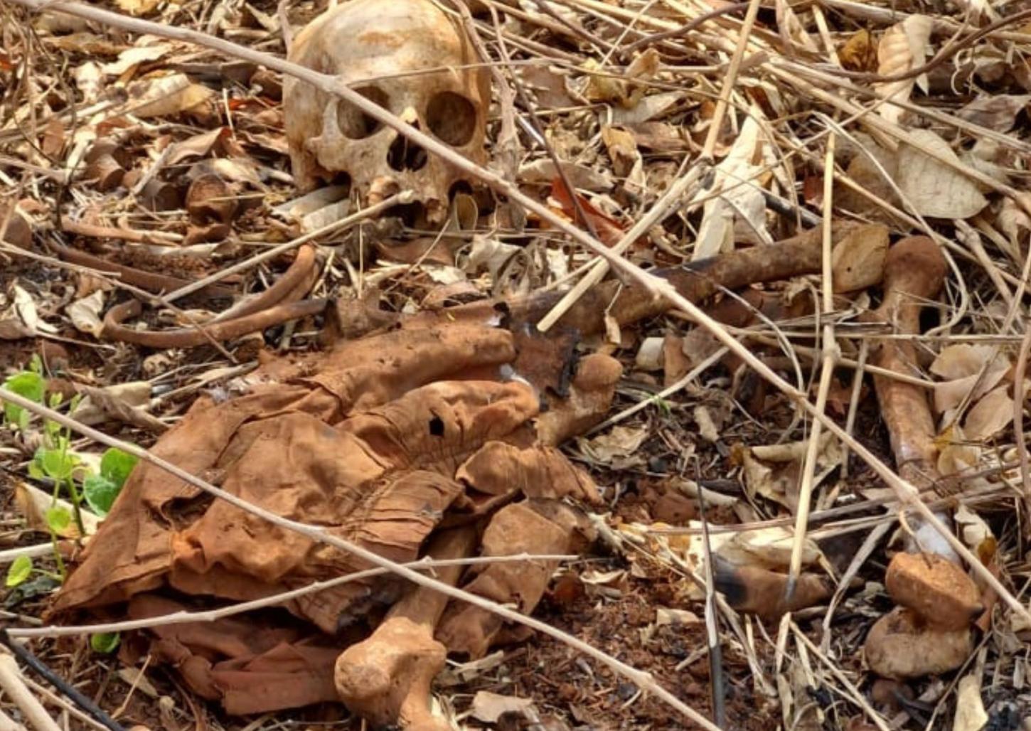 Ossada humana é encontrada em área de mata em São José da Bela Vista