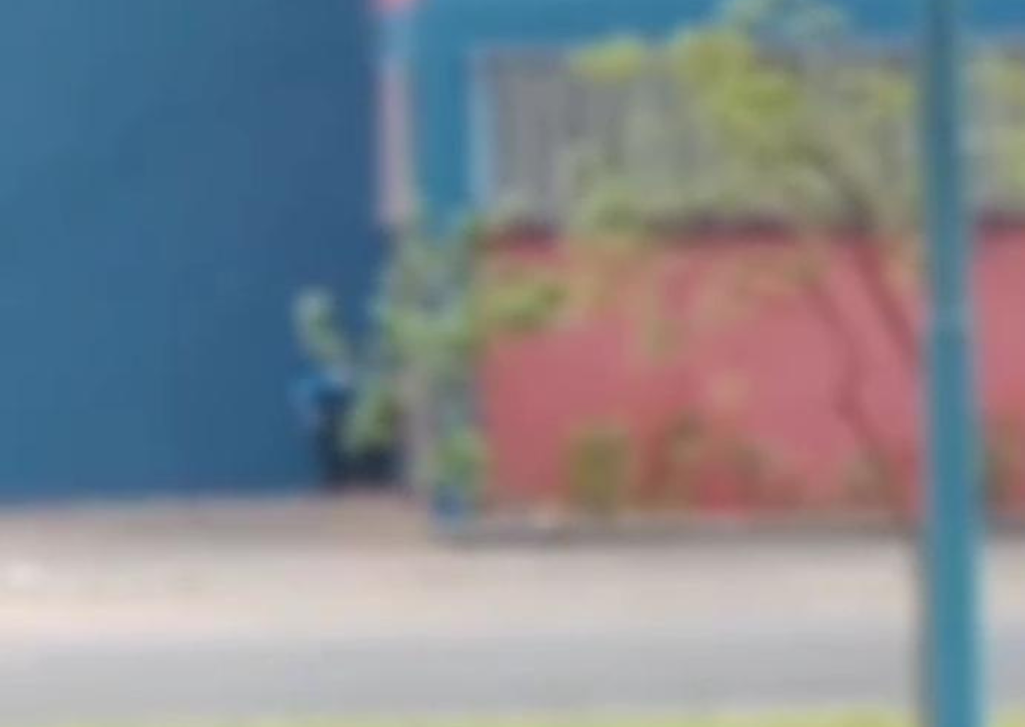 Internauta flagra homem fazendo cocô na avenida Chico Júlio