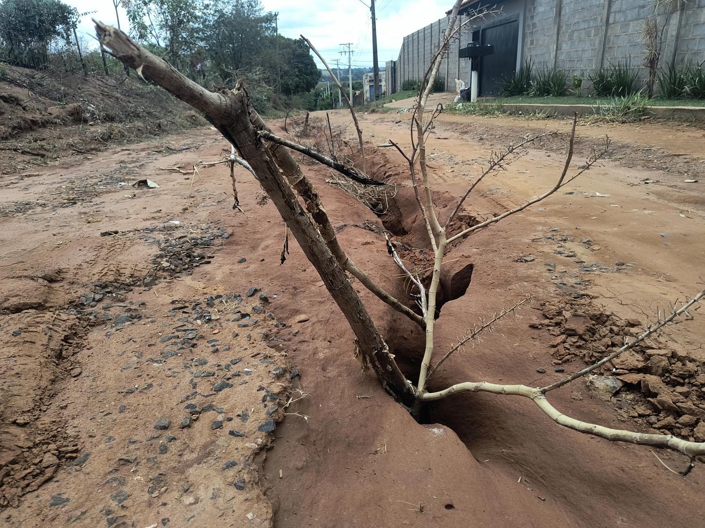 Moradores usam galhos para sinalizar buracos em rua do Morado do Sol
