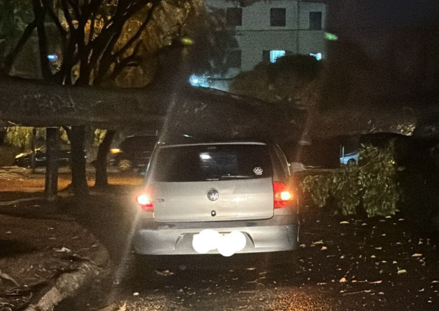 Forte chuva e ventos causam alagamentos e quedas de árvores