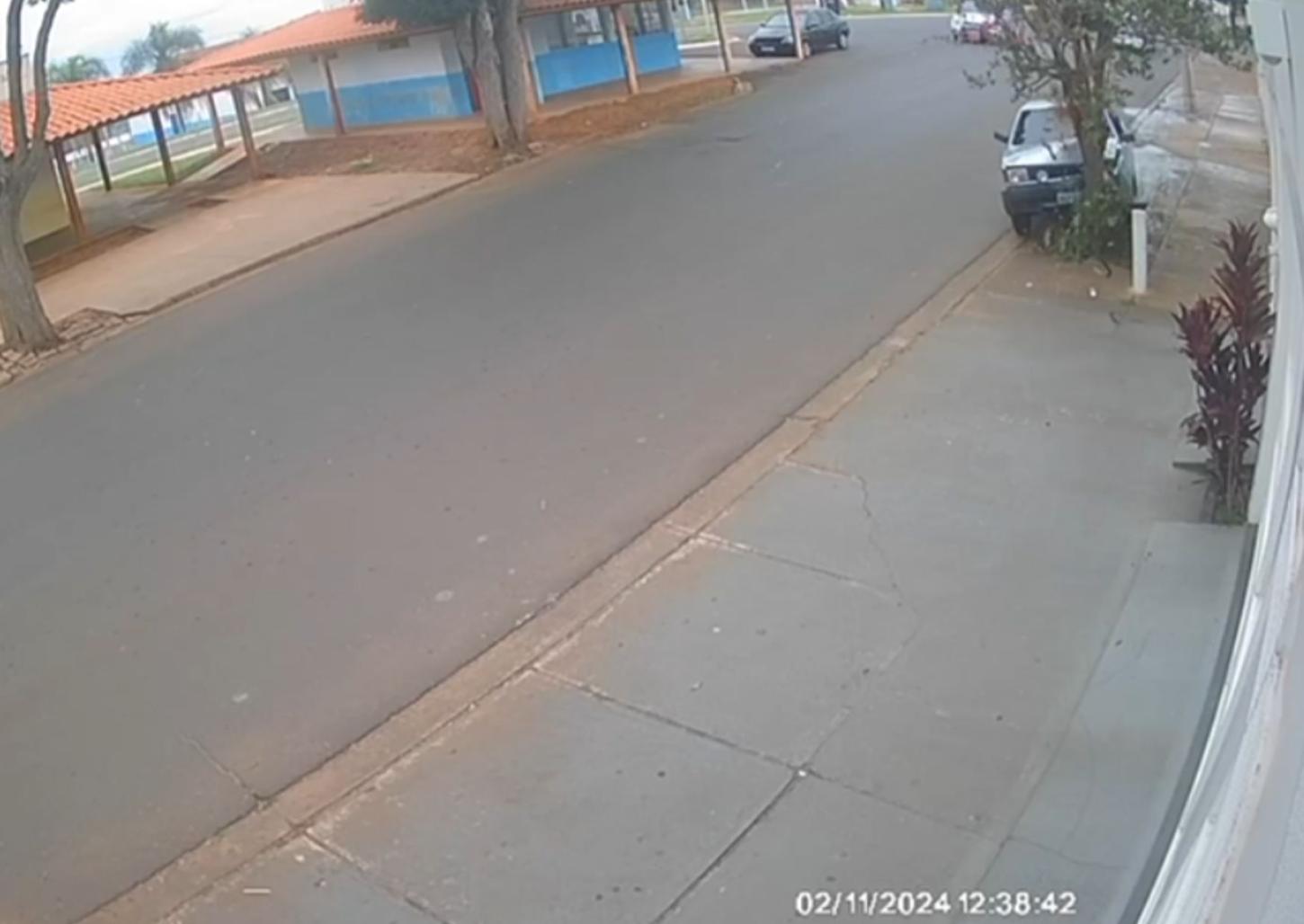 Câmera flagra motorista subindo em calçada e derrubando árvore