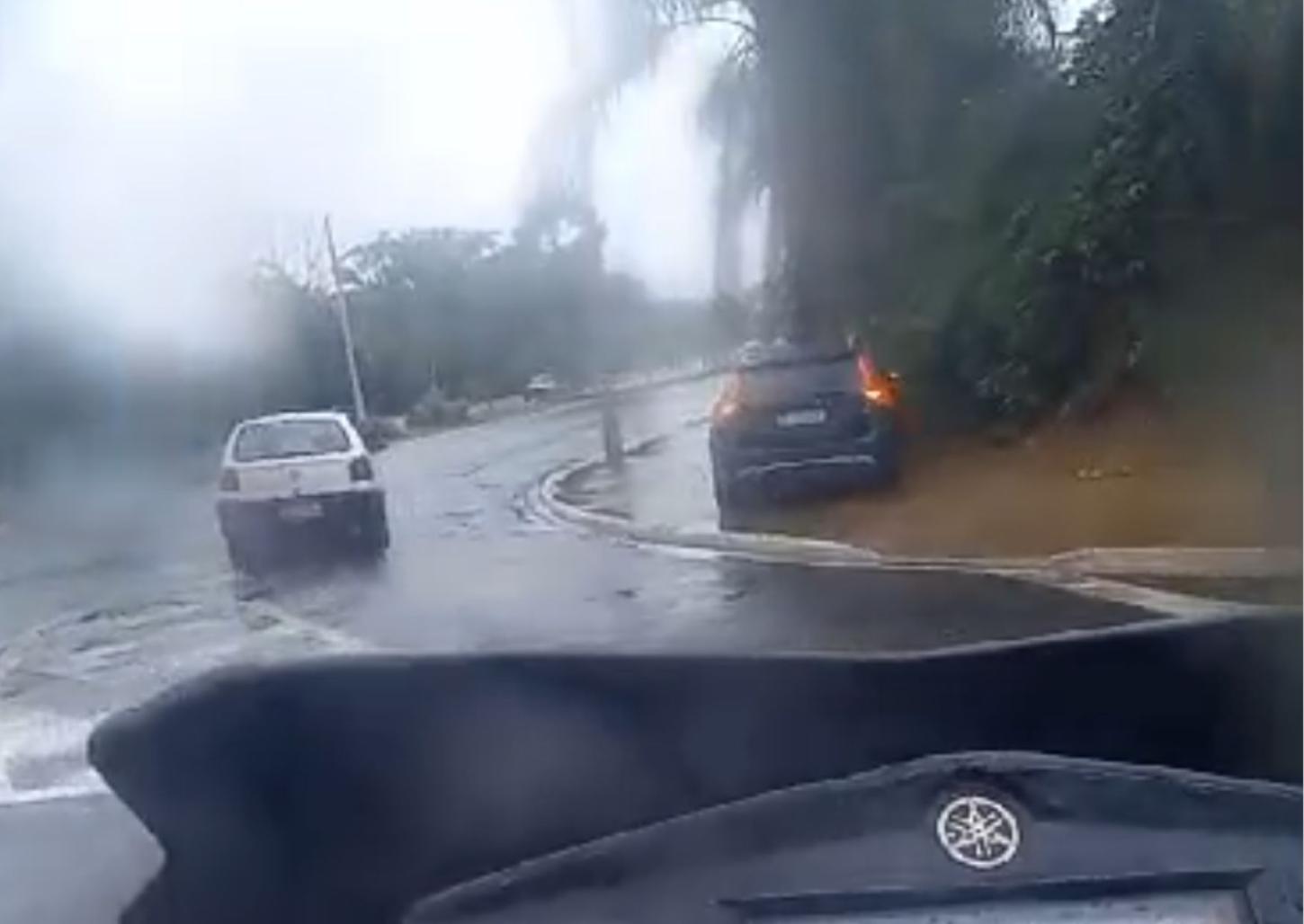 Carro sobe em calçada e atinge árvore na zona sul