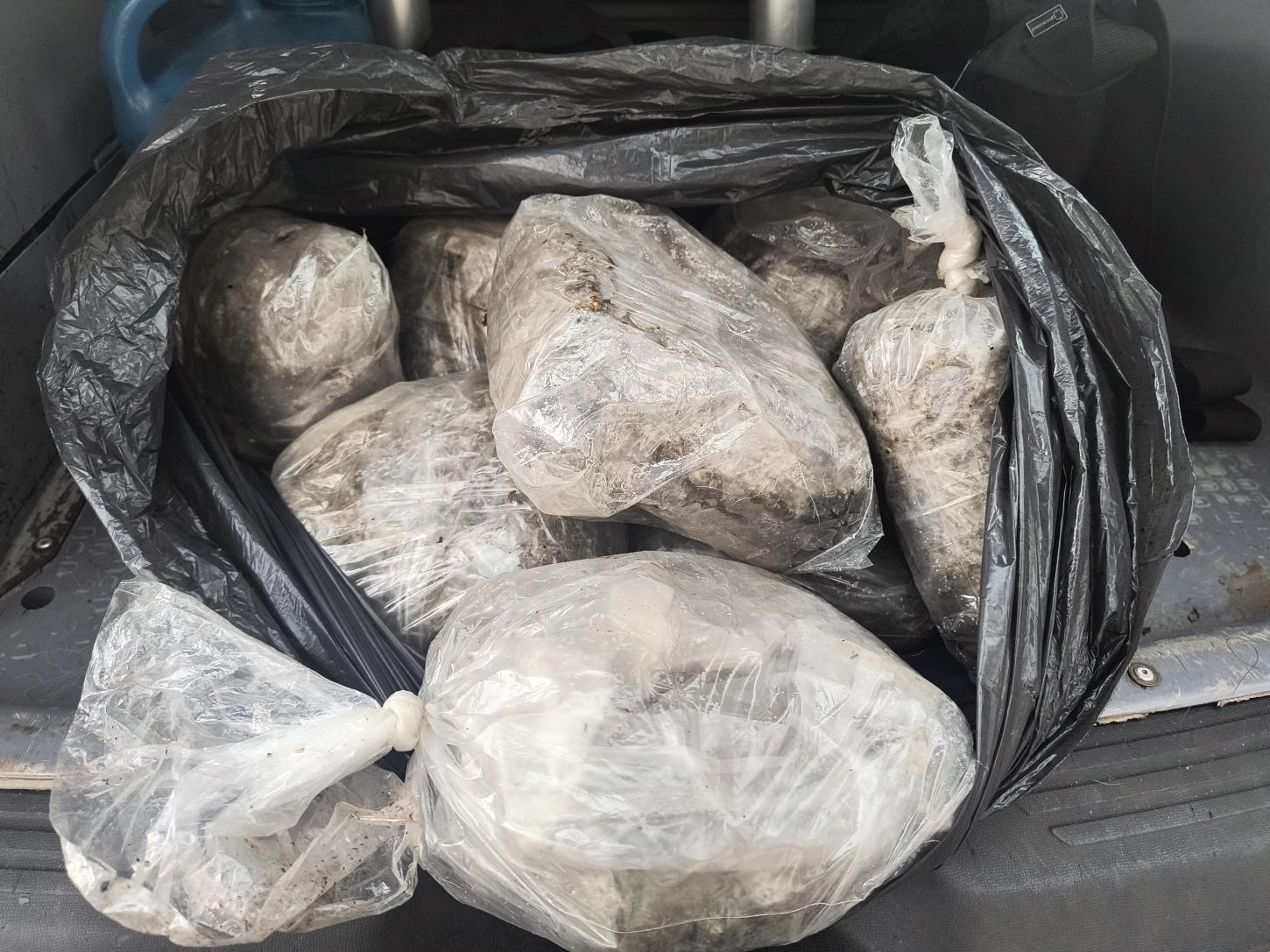 Policiais e cão do BAEP localizam 8 quilos de maconha na zona oeste