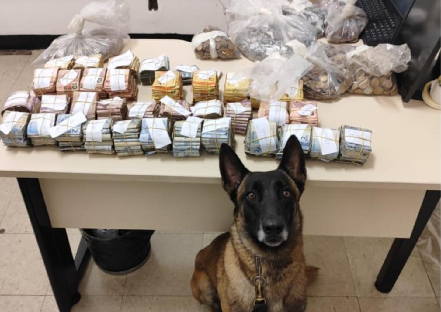 Policiais e cão do BAEP localizam mais de R$ 100 mil na favela da Vila 