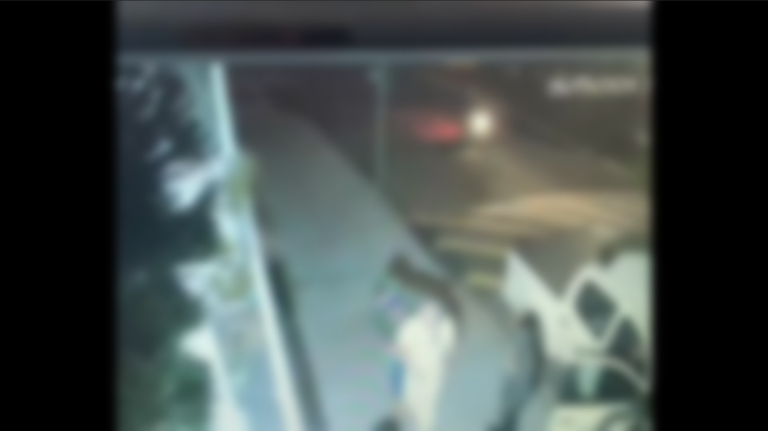 Bandidos assaltam veterinário e levam caminhonete e maritacas