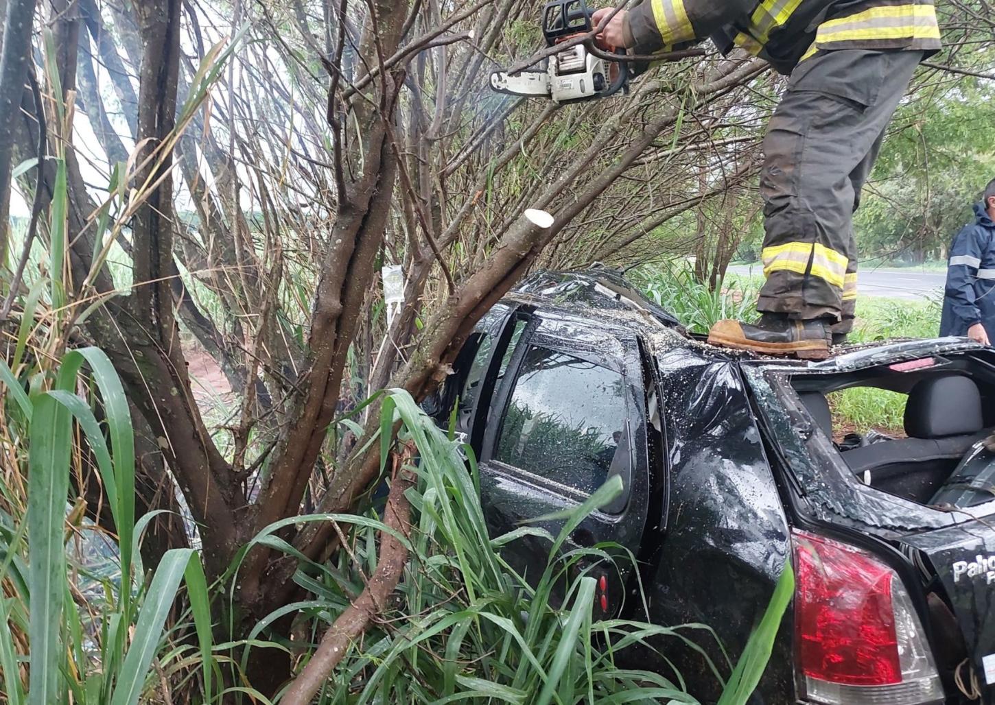 Mulher de 65 anos morre após carro bater em árvore na Altino Arantes