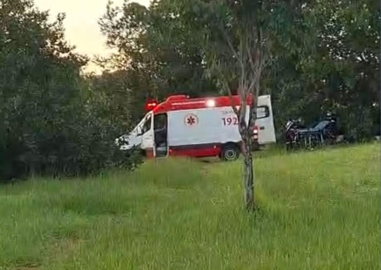 Bebê de comunidade cigana nasce em área de mata no Piratininga