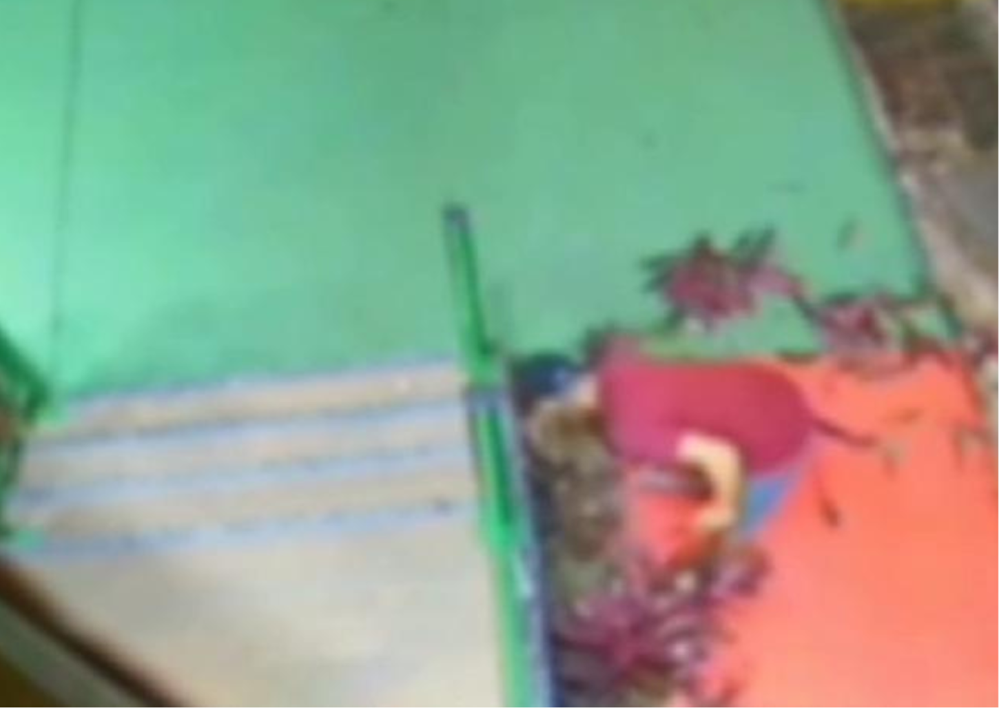 Vândalo destrói canteiro de flores de pizzaria em Franca