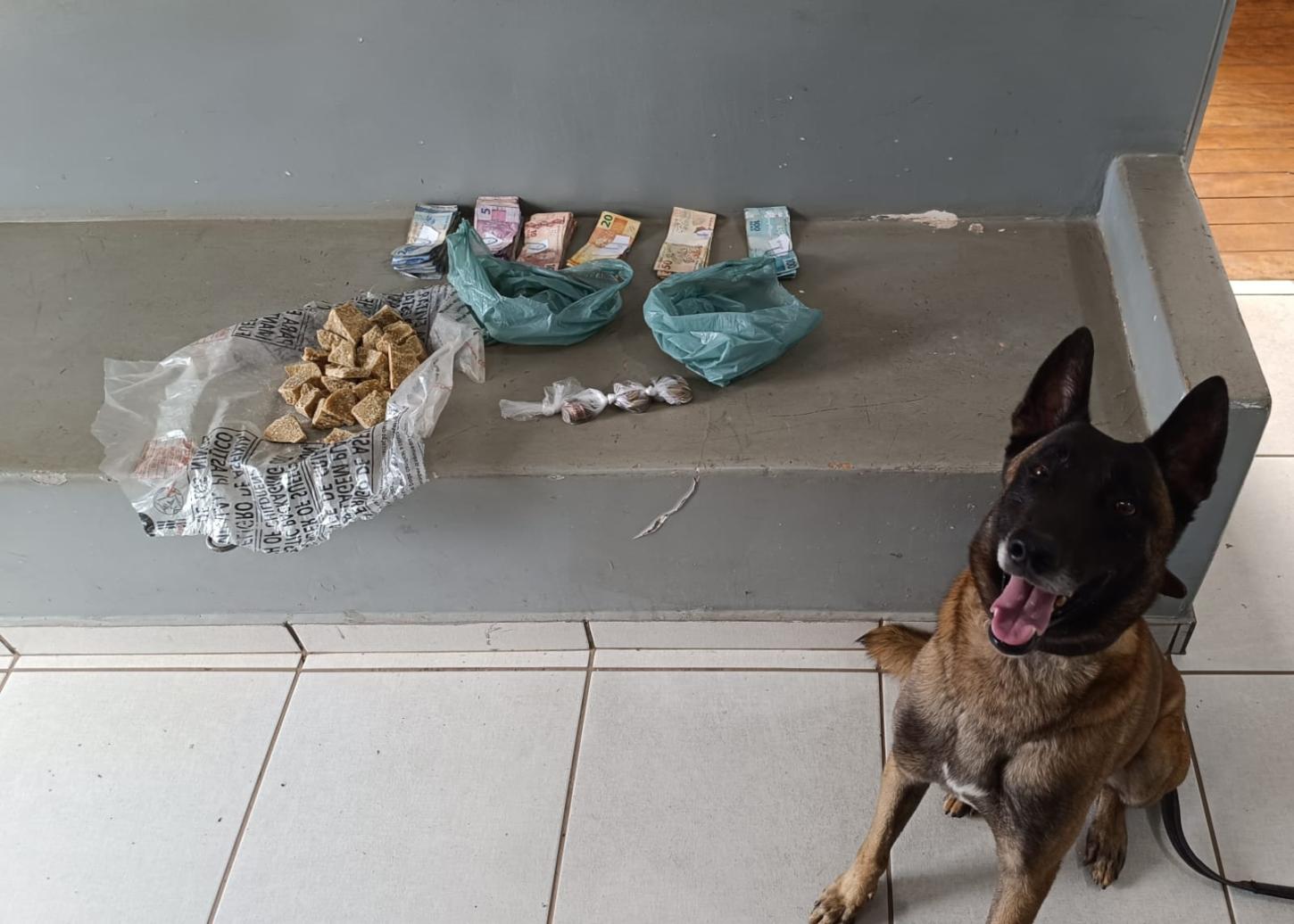 Cão e policiais do Baep localizam R$ 3 mil e drogas na favela da Vila “Tião”