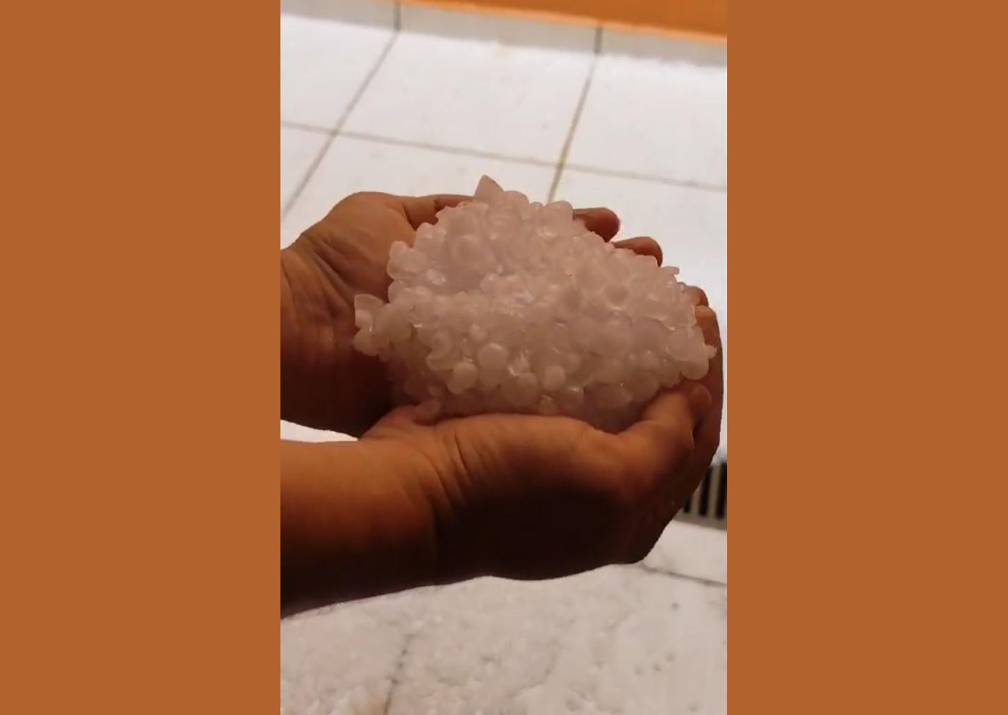 Temporal causa alagamentos, quedas de árvores e deixa moradores ilhados