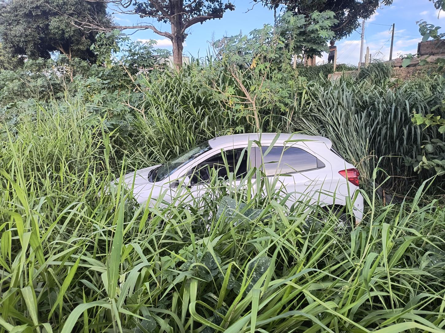 Motorista causa acidente na rodovia Cândido Portinari e foge