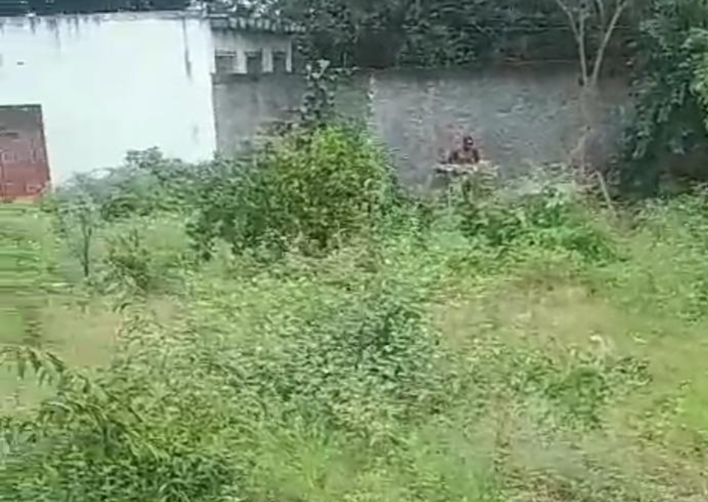 Terreno abandonada causa transtornos aos moradores do Leporace