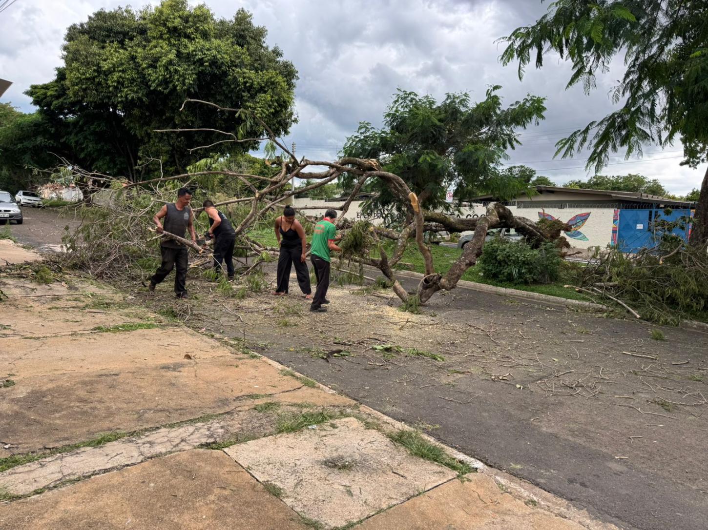Após demora da prefeitura, moradores fazem mutirão para desobstruir via