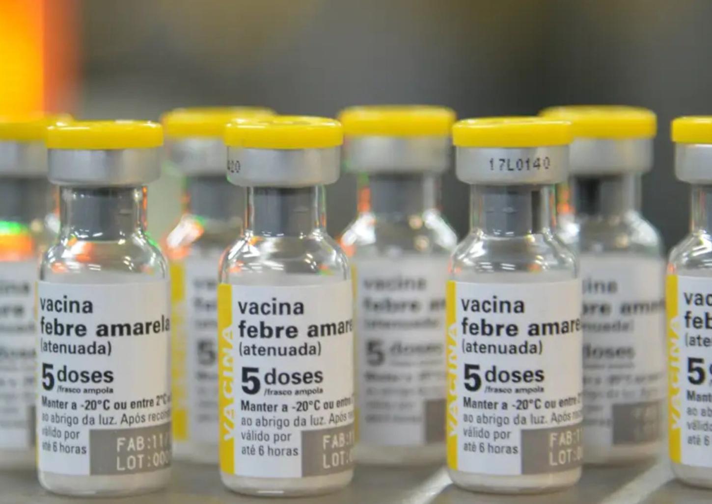 Governo disponibiliza mais vacinas após mortes de macacos na região