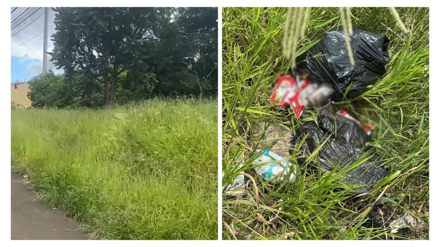 Moradores do Santa Clara reclamam de matagal e descarte irregular de lixo