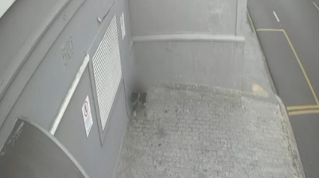 Câmera flagra homem fazendo cocô em calçada de clínica no bairro Estação