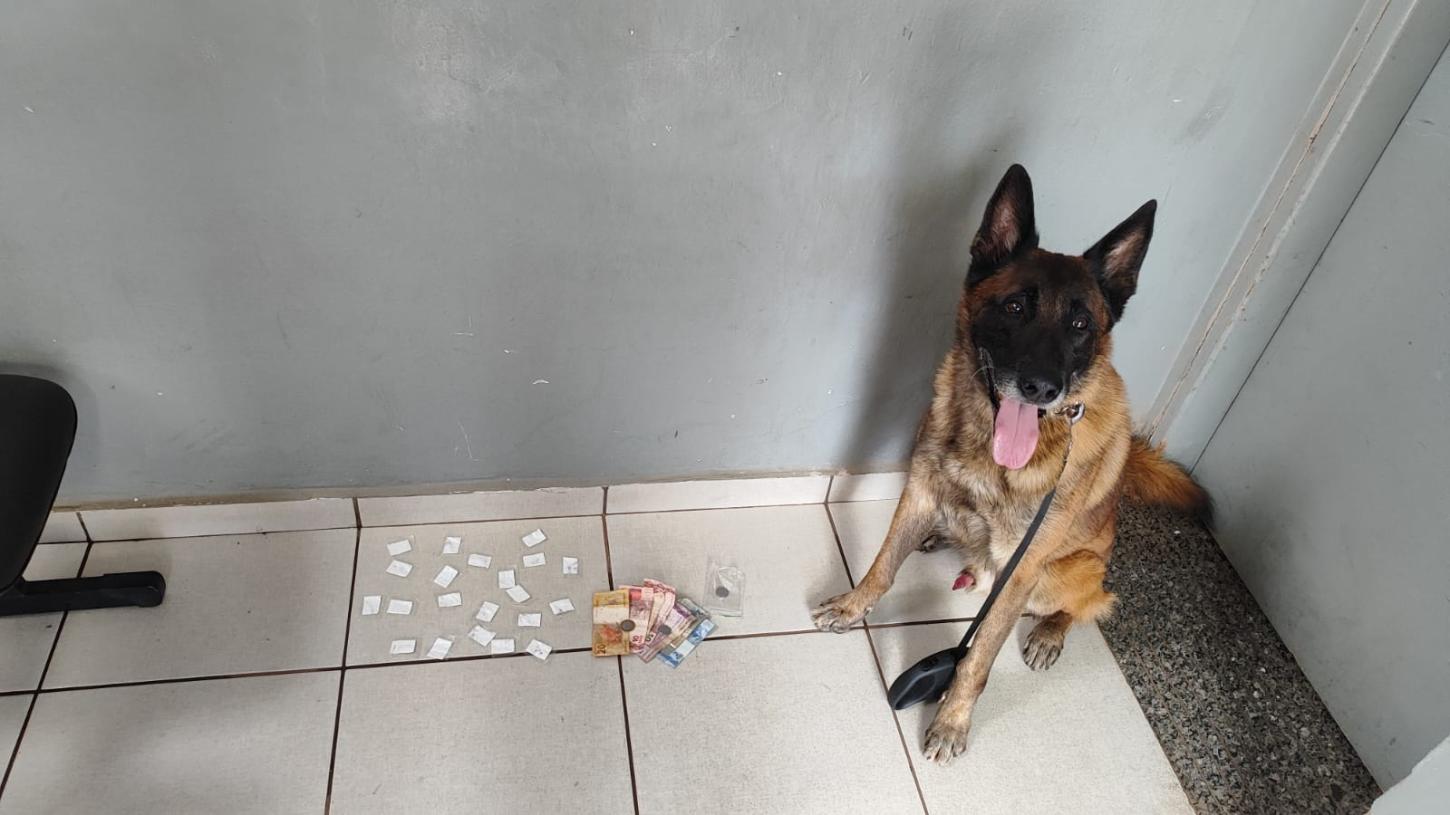 Cão e policiais do BAEP flagram menor com cocaína no Jardim Paulistano