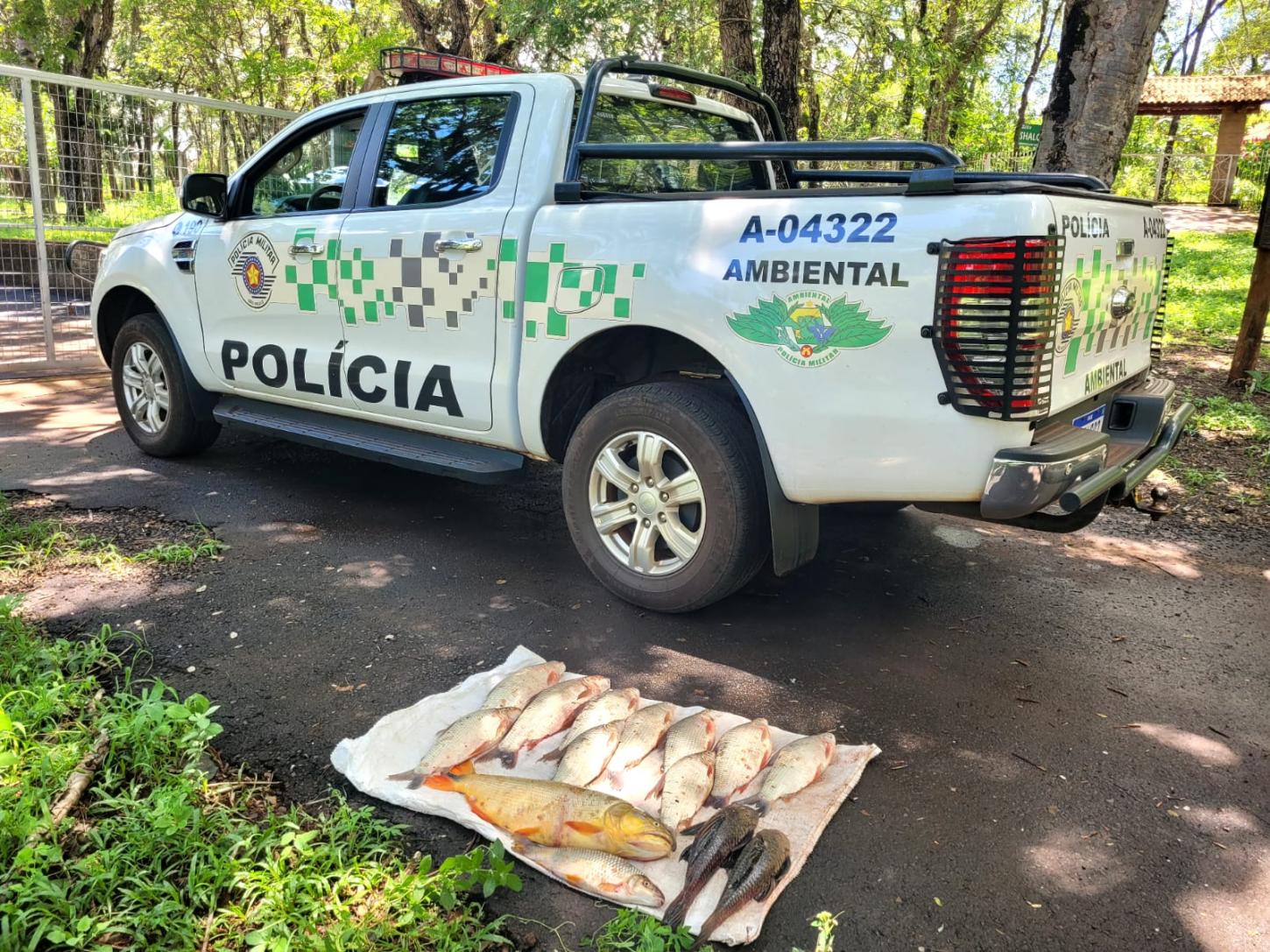 Homem é multado pela PM Ambiental por pesca predatória na Piracema