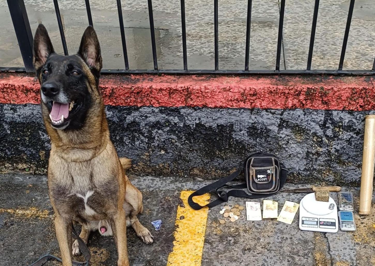 Traficante é preso na Vila São Sebastião por policiais e cão do BAEP