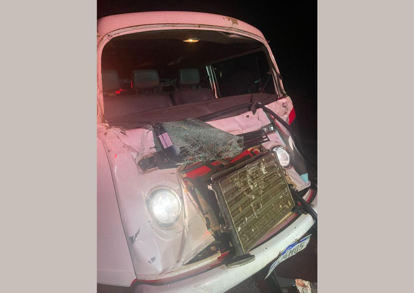 Animais soltos causam grave acidente na rodovia Cândido Portinari