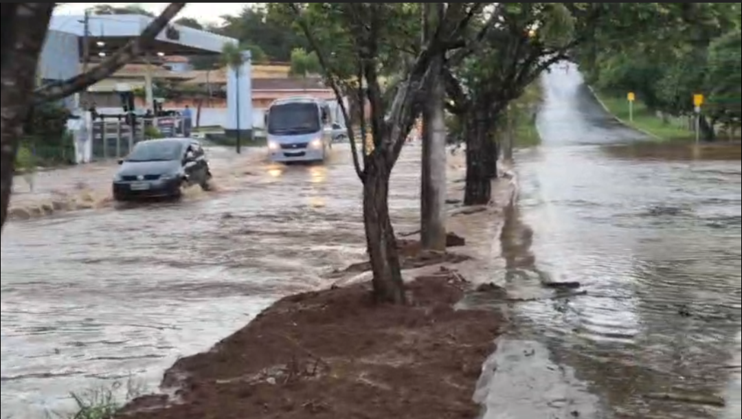 Chuva causa alagamento em avenida e quedas de árvores em Franca