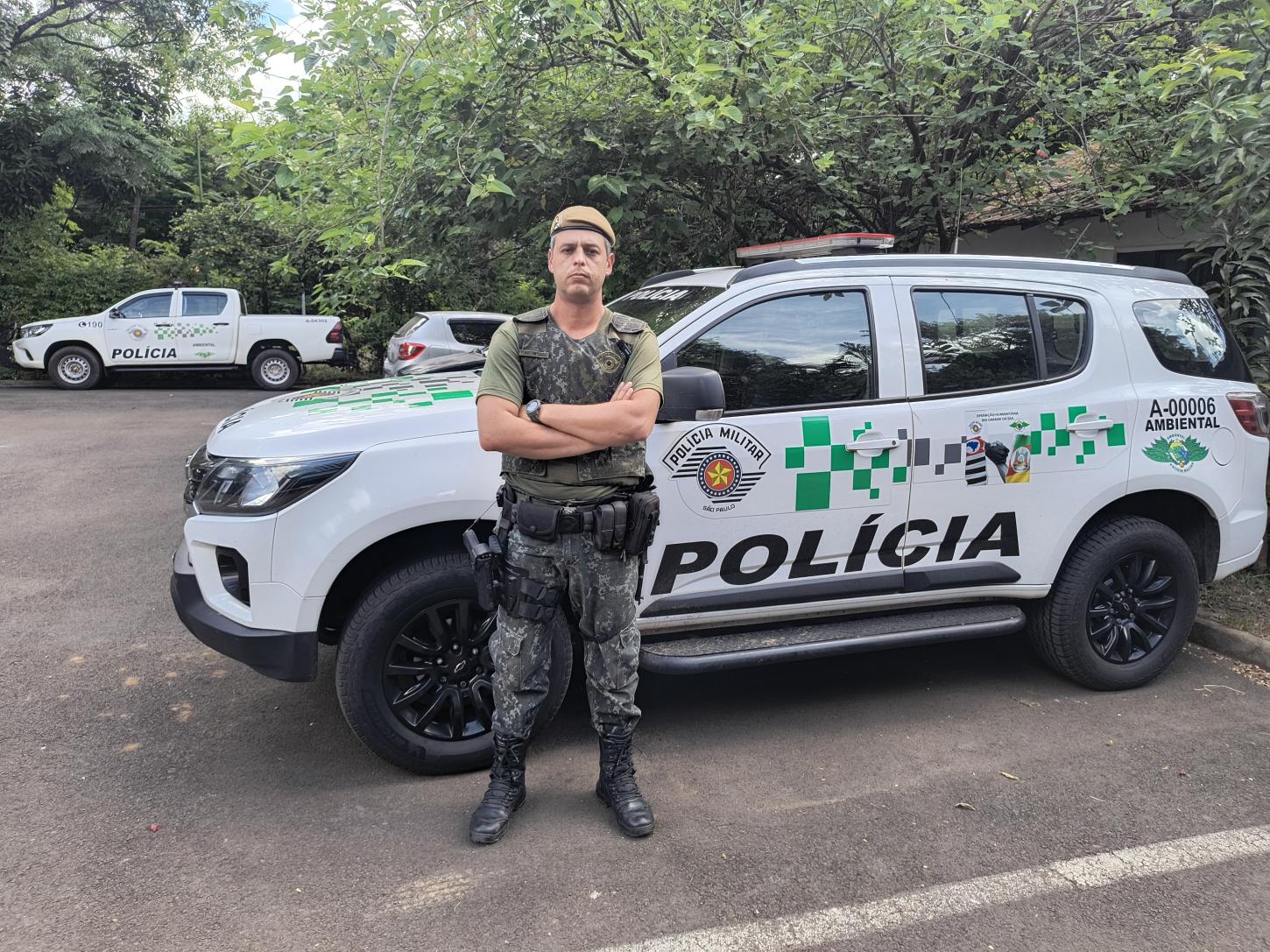 Casal abandona filhotes de gato, vai para a praia e é multado em R$ 15 mil