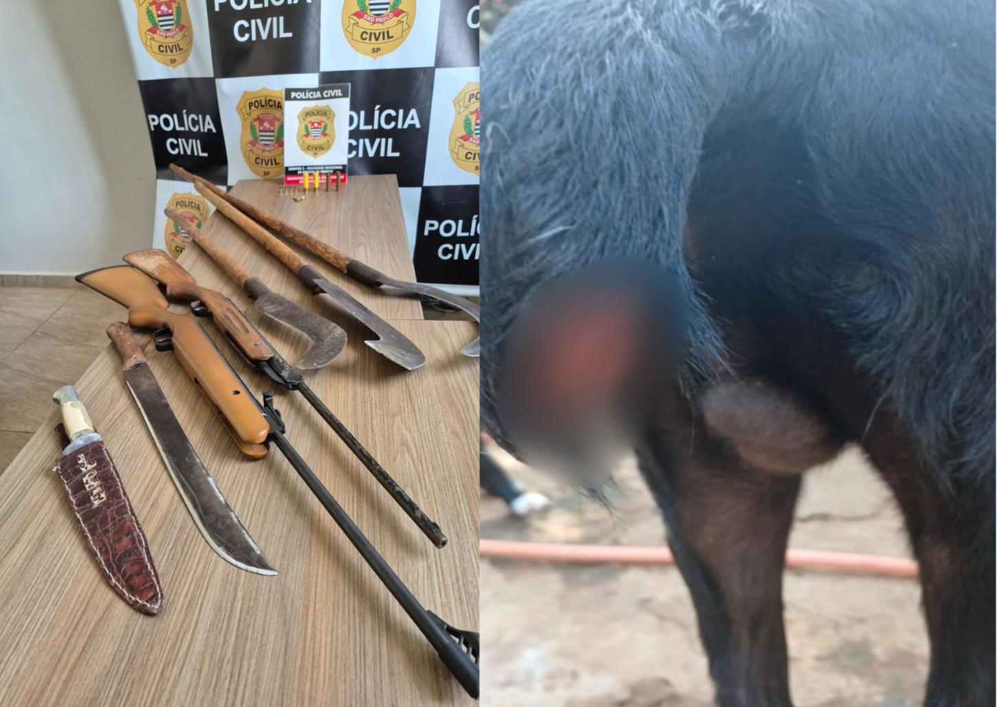 PC cumpre mandado contra homem que decepou rabo de cachorro com foice