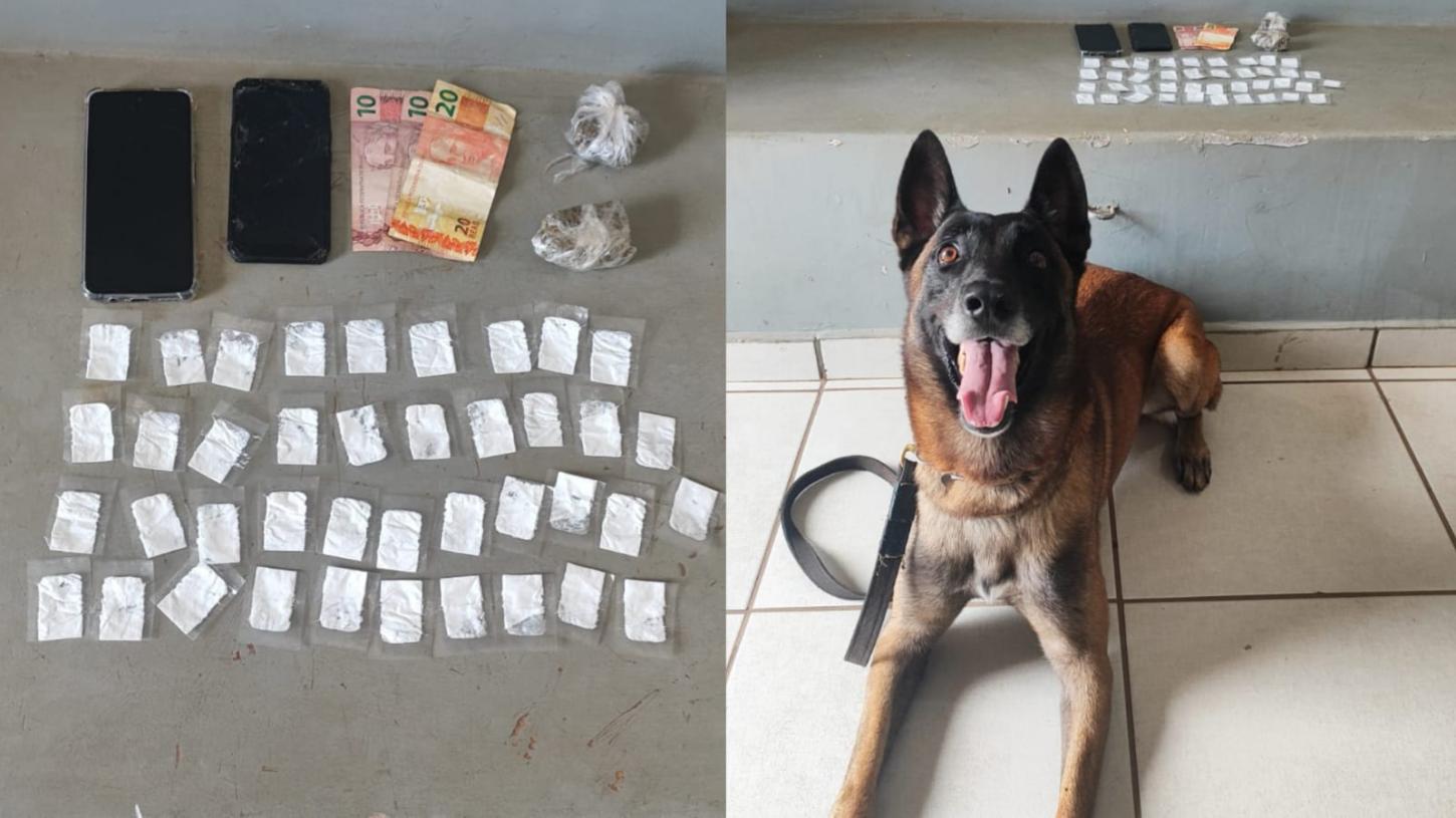 Cão Dexter do BAEP localiza drogas em laje de casa abandonada