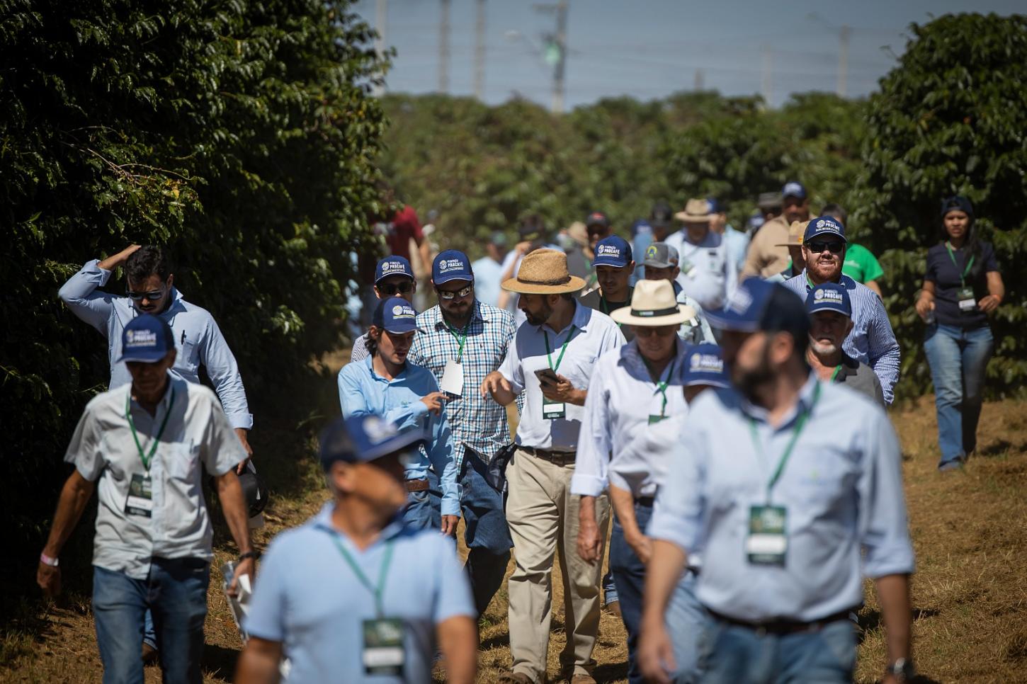 Fundação Procafé promove 