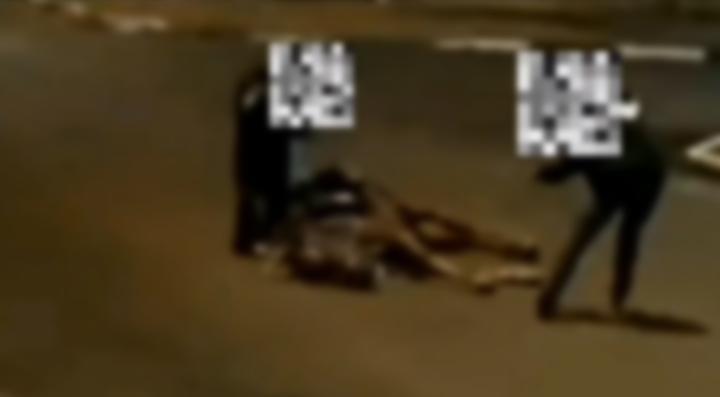 Polícia investiga caso de maus-tratos contra animal em Restinga