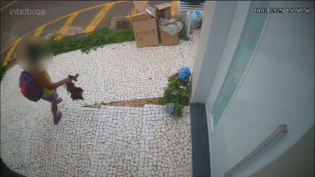 Câmera flagra mulher furtando orquídeas no bairro Santa Lúcia