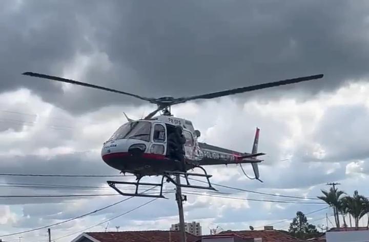 Com apoio do helicóptero Águia, PM Ambiental combate furto de gado
