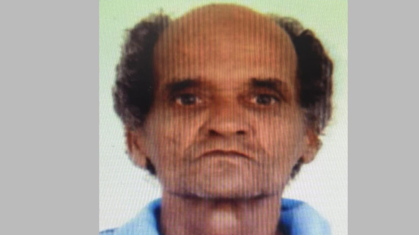 Homem de 74 anos morre após ser esmagado durante poda de árvore