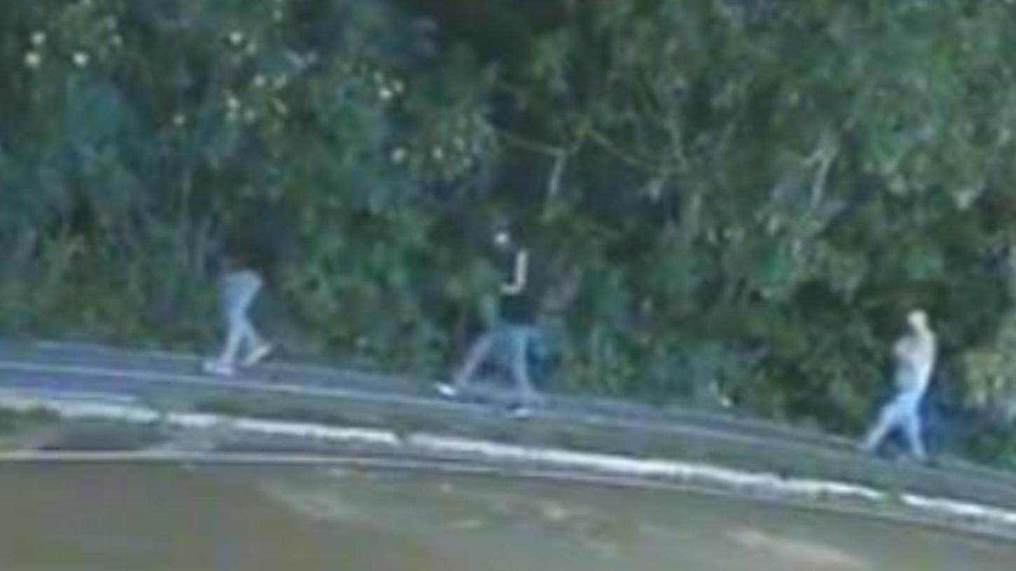 Bandidos saem de mata e furtam Fiorino no João Liporoni