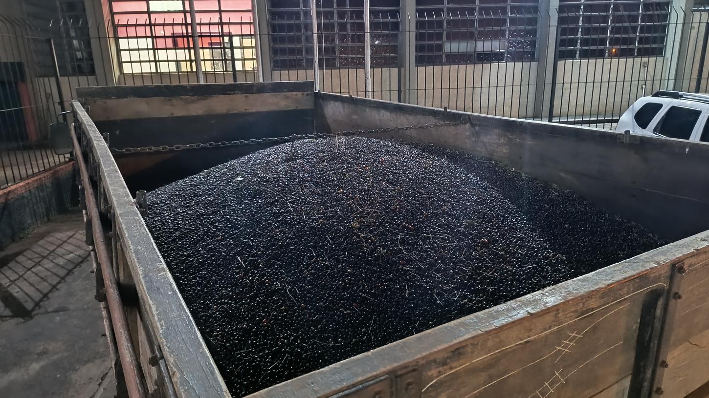 Caminhão carregado com café é flagrado com placa adulterada