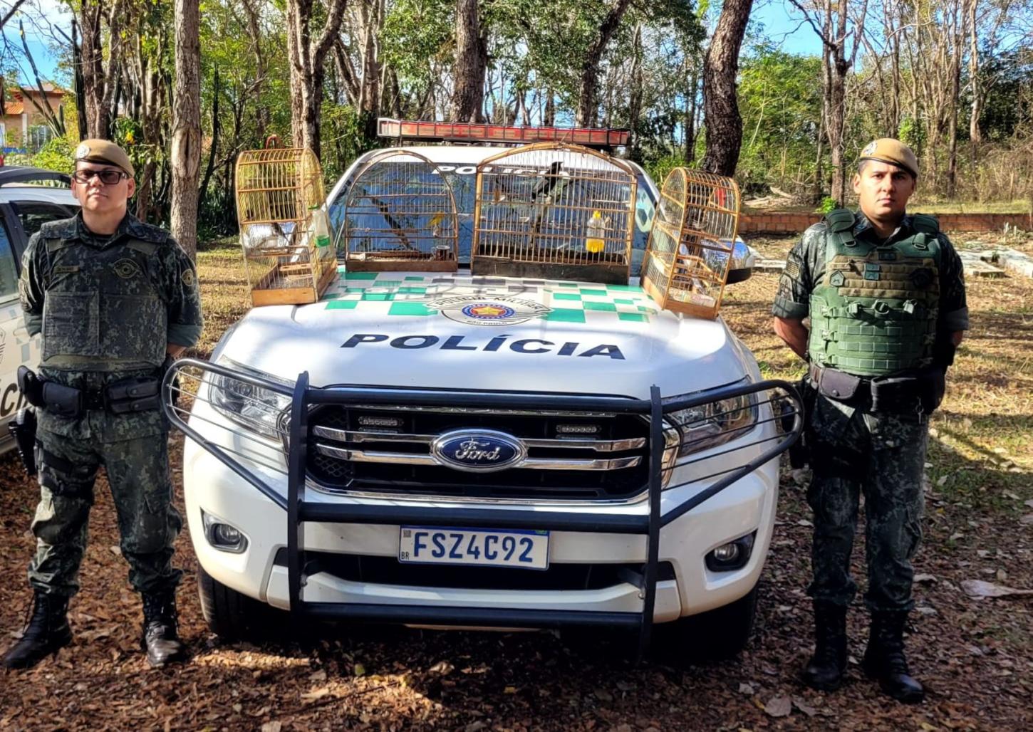 Polícia Militar Ambiental liberta aves mantidas ilegalmente em cativeiro