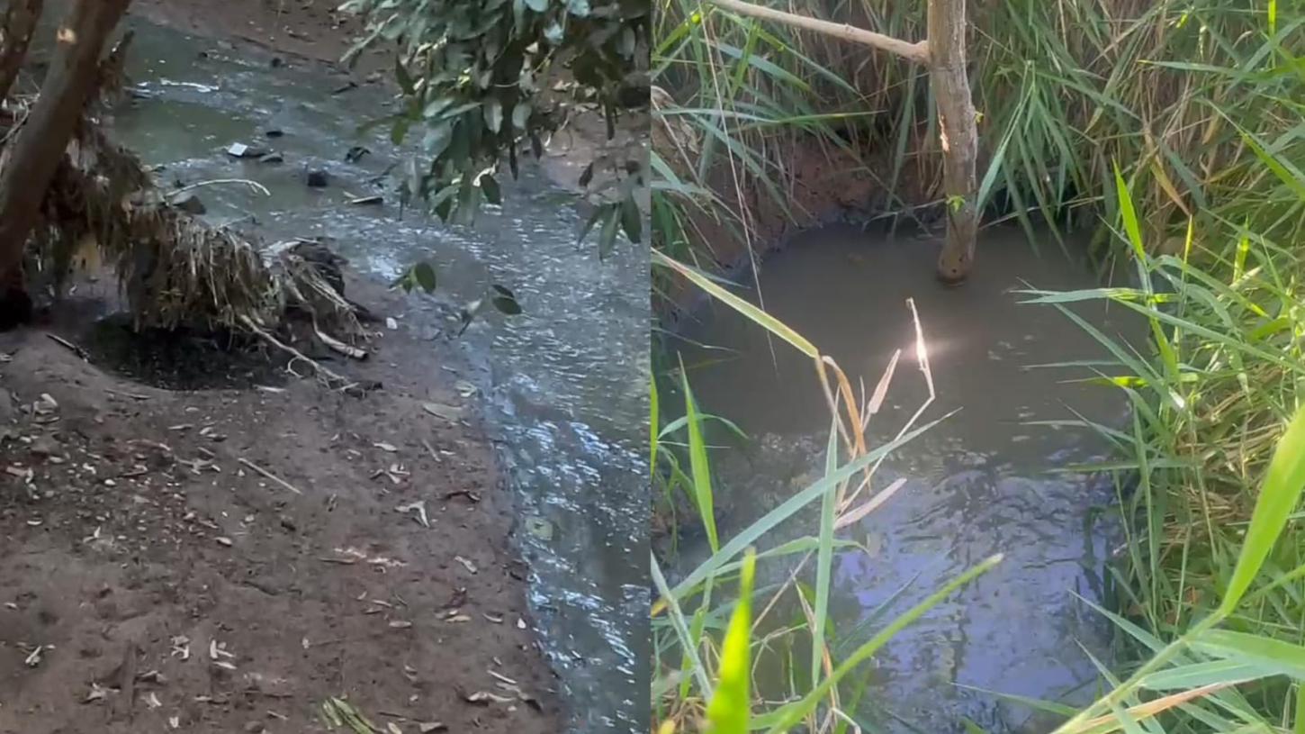 Vazamento de esgoto polui córrego e causa mau cheiro no Vera Cruz III