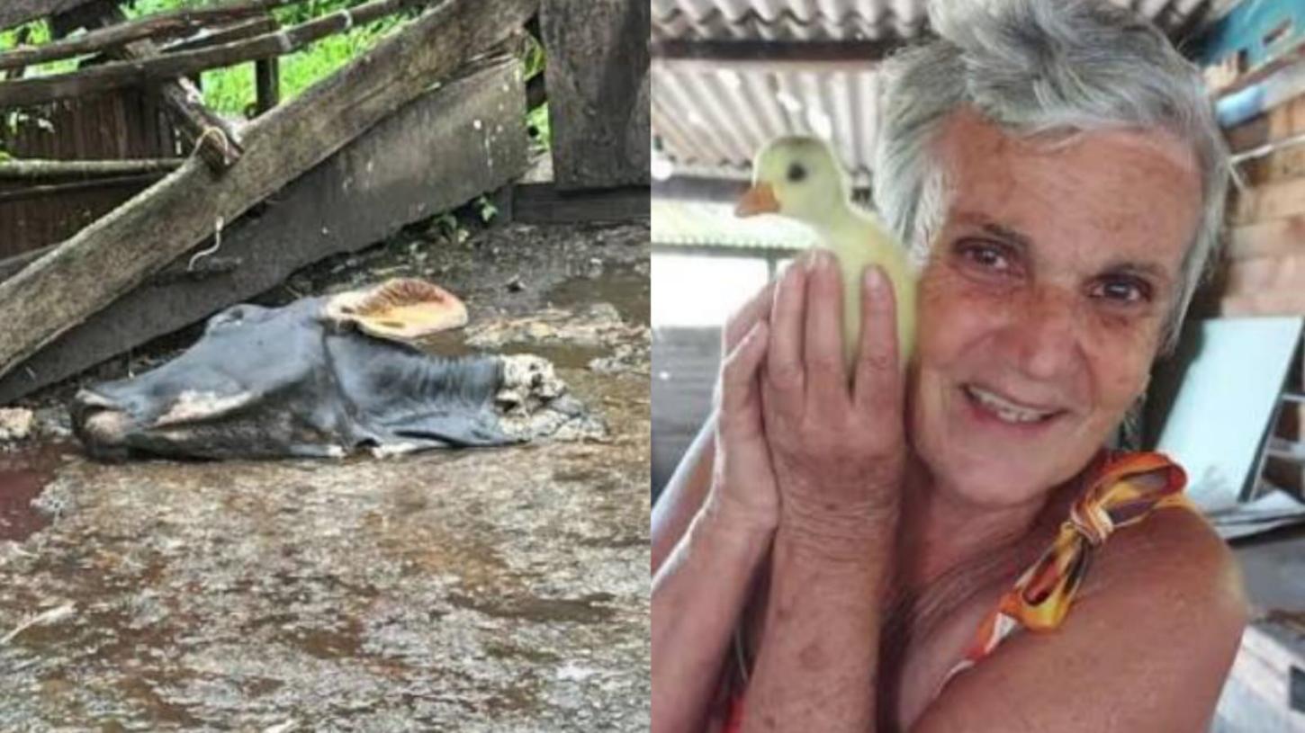 Dupla é condenada por crime de latrocínio em sítio de Cristais Paulista