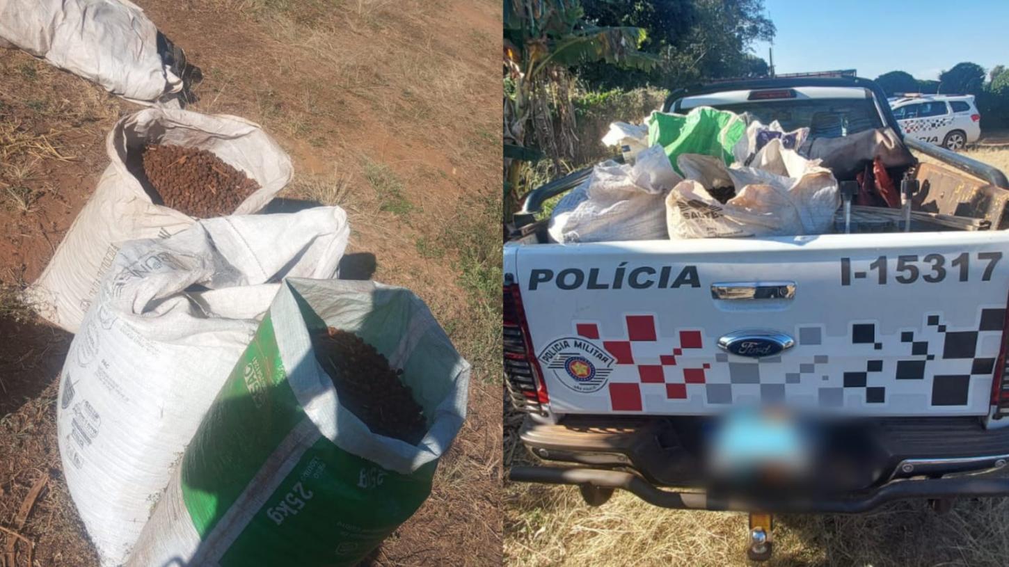 Polícia Militar recupera sacas de café furtadas em Ribeirão Corrente