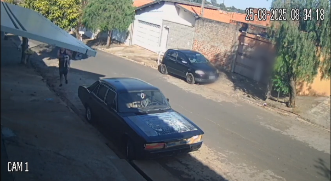 Homem procura motorista que atropelou cão e fugiu