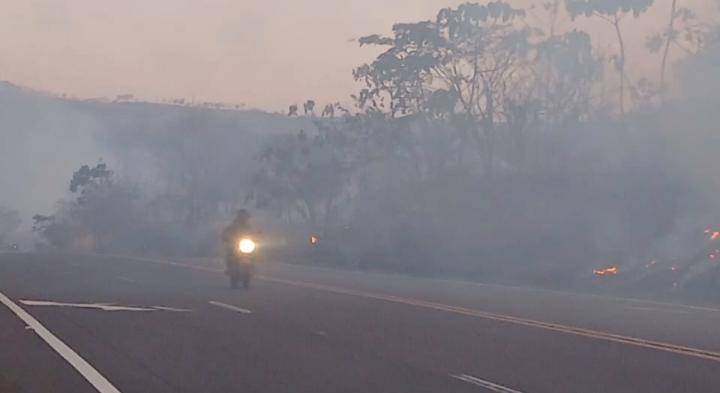 Homem não consegue carona, ateia fogo em mata e é preso pela GCM