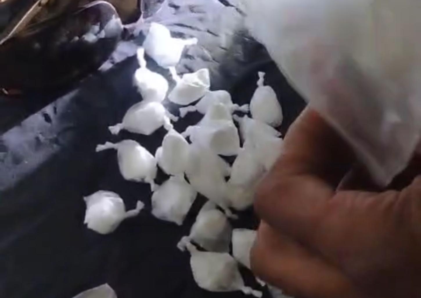 Policiais da Força Tática prendem traficante no Jardim Planalto