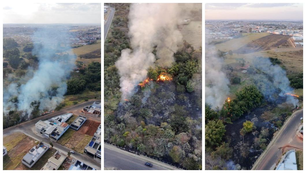 Incêndio destrói área de mata no Jardim Botânico; assista