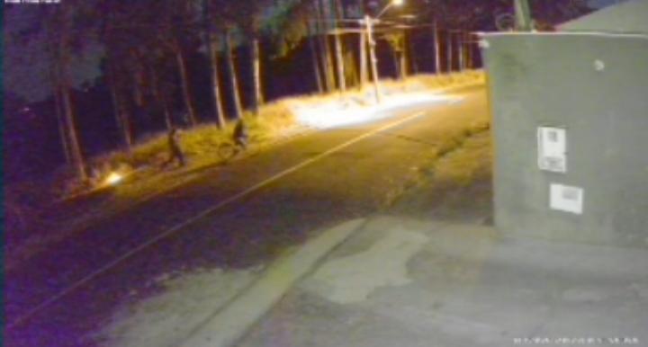 Homens são flagrados ateando fogo em área de mata no Recanto Elimar