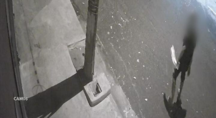 Câmera flagra vândalo apedrejando pastelaria no bairro da Estação