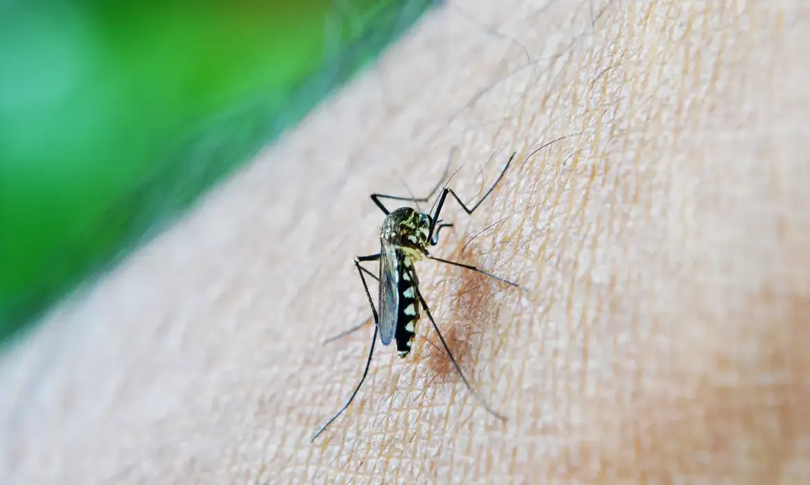 Franca registrou 4 mortes e 5 mil casos de dengue em 2025