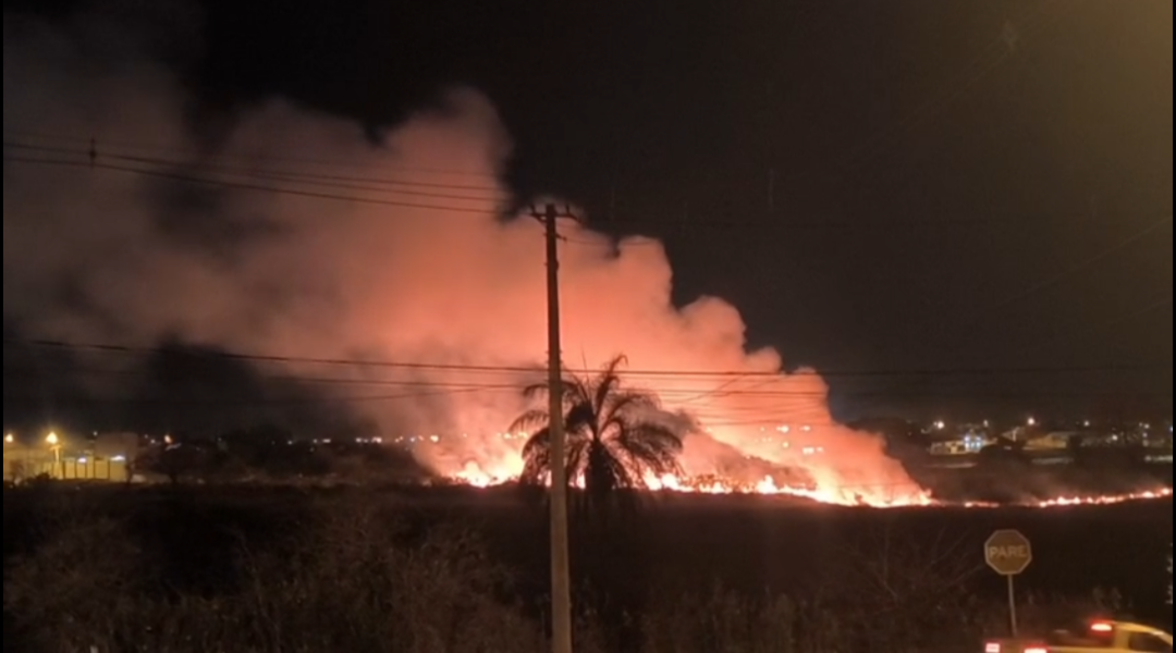 Incêndio atinge área de mata e mobiliza Corpo de Bombeiros no São Domingos
