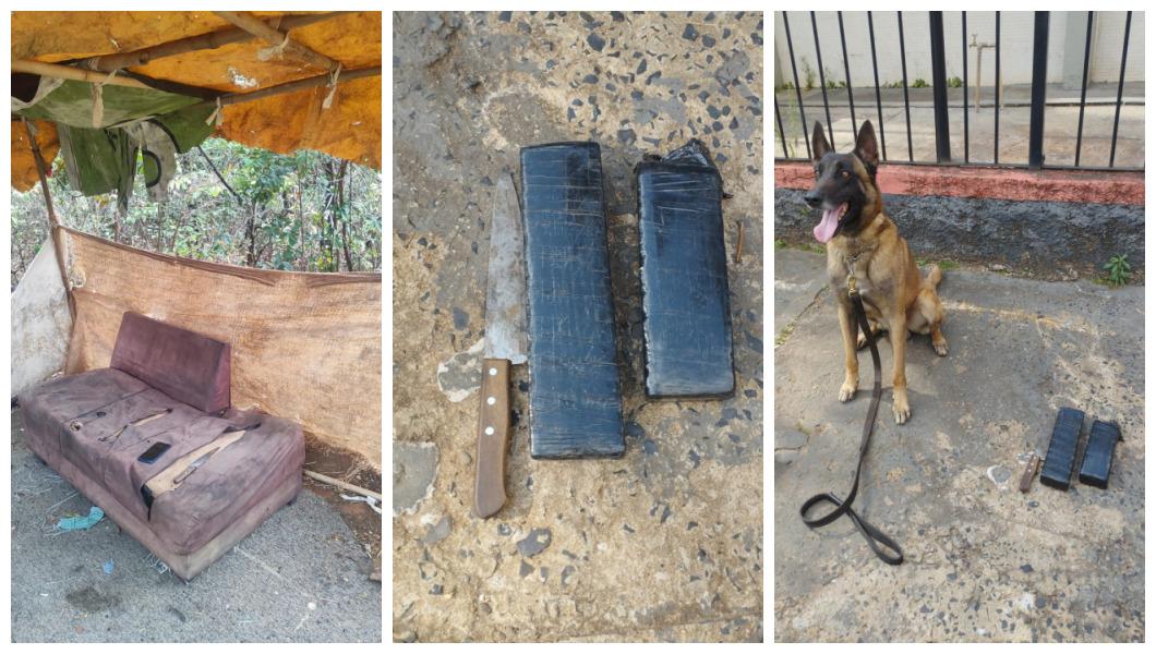 Traficante é preso por cão e policiais do BAEP em mata no Moreira Júnior
